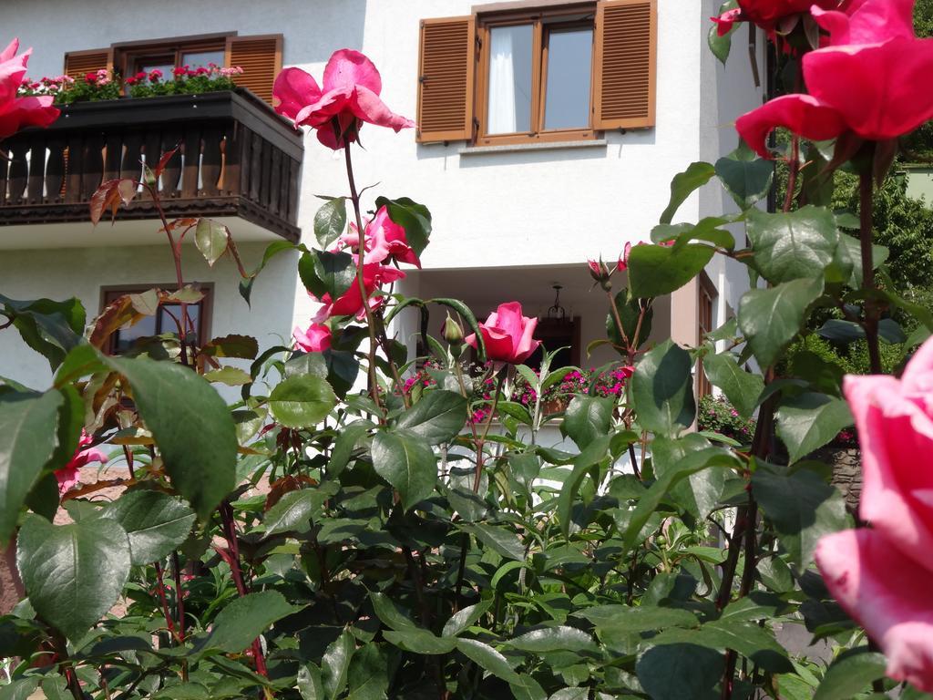 Schuetzenhof Aparthotel Sattendorf Екстериор снимка